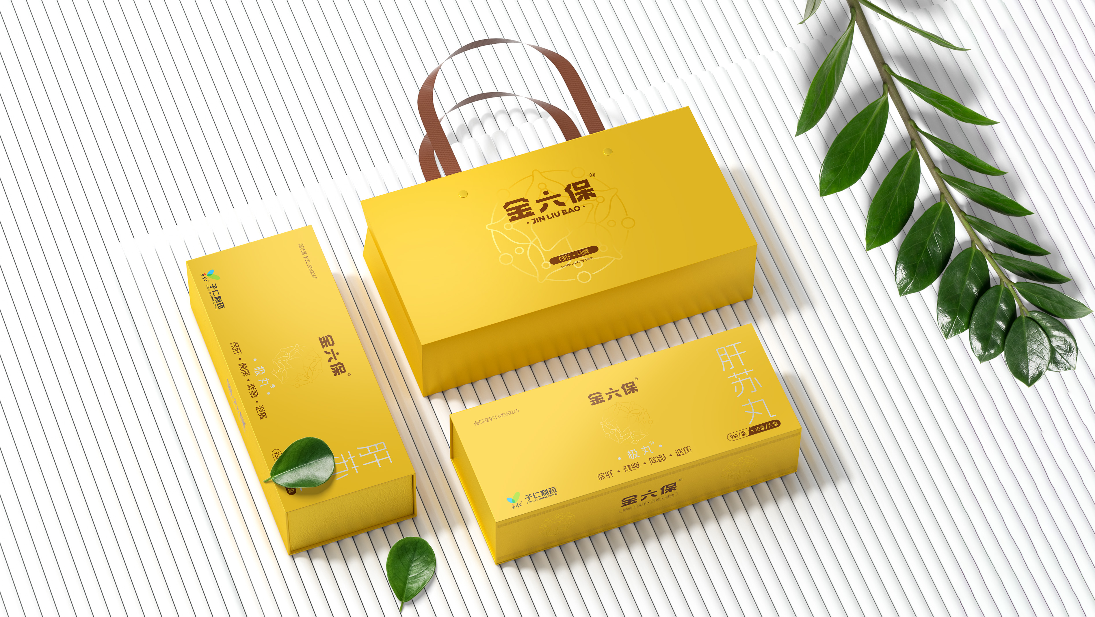 禮盒3D示意圖